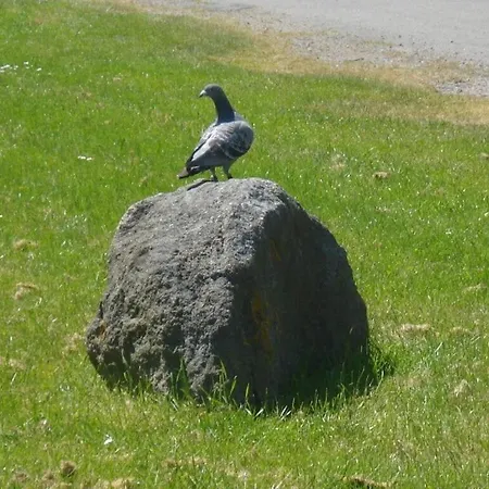アパート Klinger Todendorf auf Fehmarn